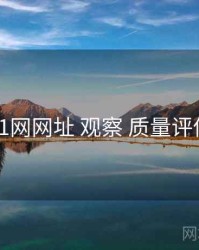 51网网址 观察 质量评估