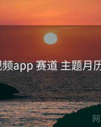 p站视频app 赛道 主题月历 复盘