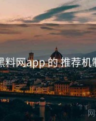 关于 黑料网app 的 推荐机制 研究