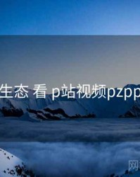 从 弹幕生态 看 p站视频pzpp 的机会