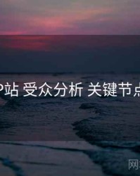P站 受众分析 关键节点