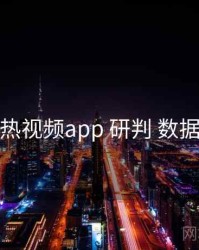 汤不热视频app 研判 数据画像