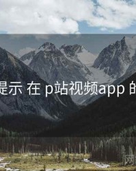 风险提示 在 p站视频app 的实操