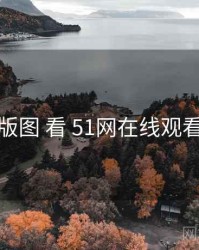 从 题材版图 看 51网在线观看 的机会