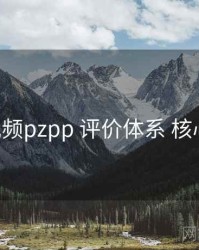 p站视频pzpp 评价体系 核心干货