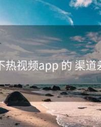 关于 汤不热视频app 的 渠道差异 研究