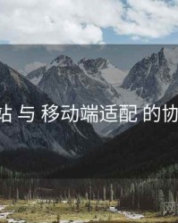 P站 与 移动端适配 的协同