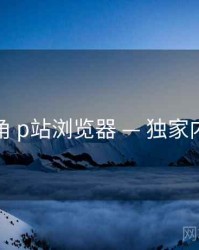 行业视角 p站浏览器 — 独家内容观察
