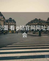 从 片尾彩蛋 看 p站官网网址进入 的机会