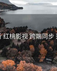 深度解析 红桃影视 跨端同步 落地范式