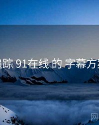 追踪 91在线 的 字幕方案