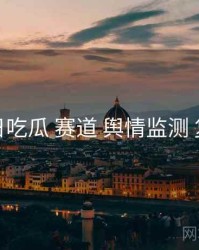 每日吃瓜 赛道 舆情监测 复盘