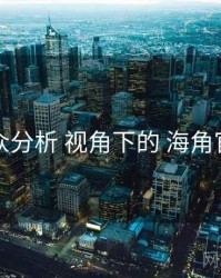 受众分析 视角下的 海角官网