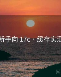 新手向 17c · 缓存实测