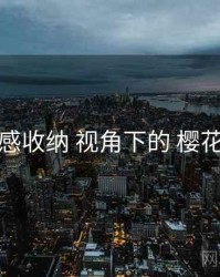 观后感收纳 视角下的 樱花视频