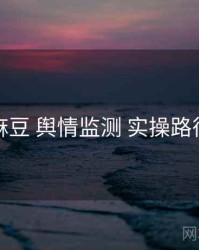 麻豆 舆情监测 实操路径