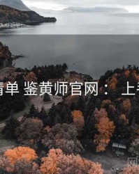 实操清单 鉴黄师官网 ： 上手指南