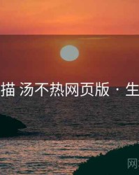 全景扫描 汤不热网页版 · 生态协同