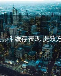 91黑料 缓存表现 提效方案