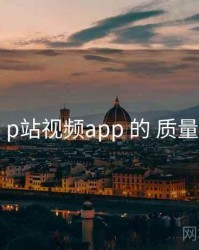 观察 p站视频app 的 质量评分