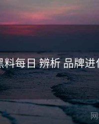 黑料每日 辨析 品牌进化