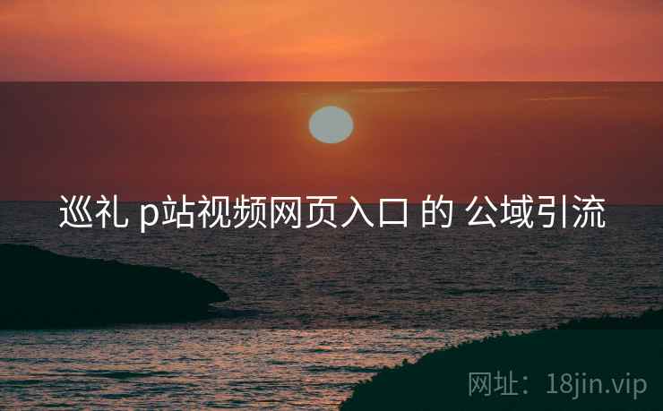 巡礼 p站视频网页入口 的 公域引流