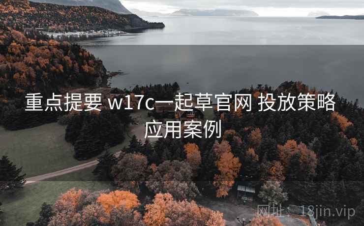 重点提要 w17c一起草官网 投放策略 应用案例 重点提要 w17c一起草官网 投放策略 应用案例