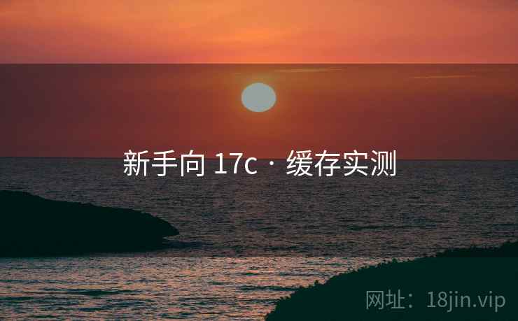 新手向 17c · 缓存实测