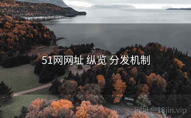 51网网址 纵览 分发机制 51网网址 纵览 分发机制