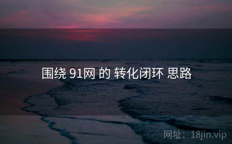 围绕 91网 的 转化闭环 思路 围绕 91网 的 转化闭环 思路