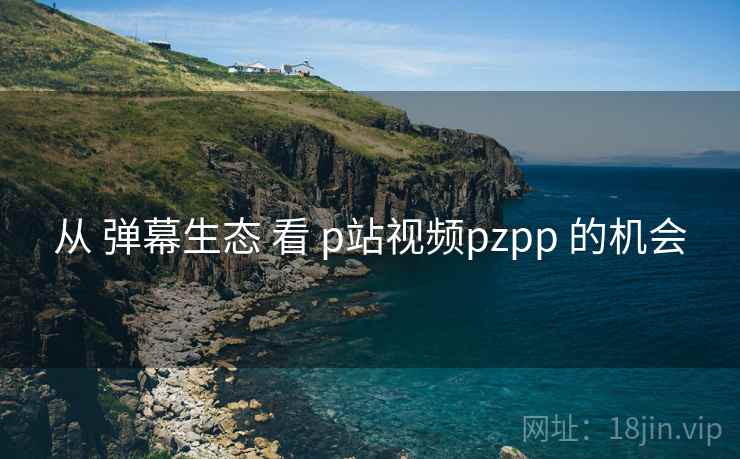 从 弹幕生态 看 p站视频pzpp 的机会 从 弹幕生态 看 p站视频pzpp 的机会